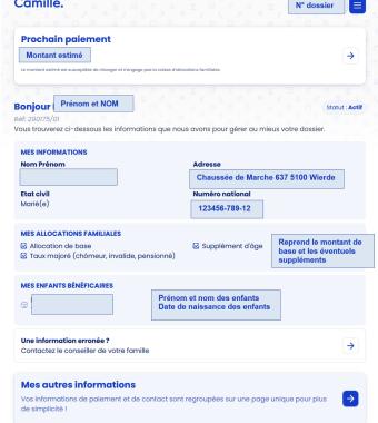 Aperçu d'un dossier sur les services en ligne